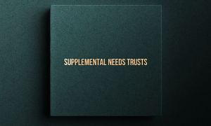 Protecting Vulnerable Loved Ones: The Importance of Supplemental Needs Trusts in New York