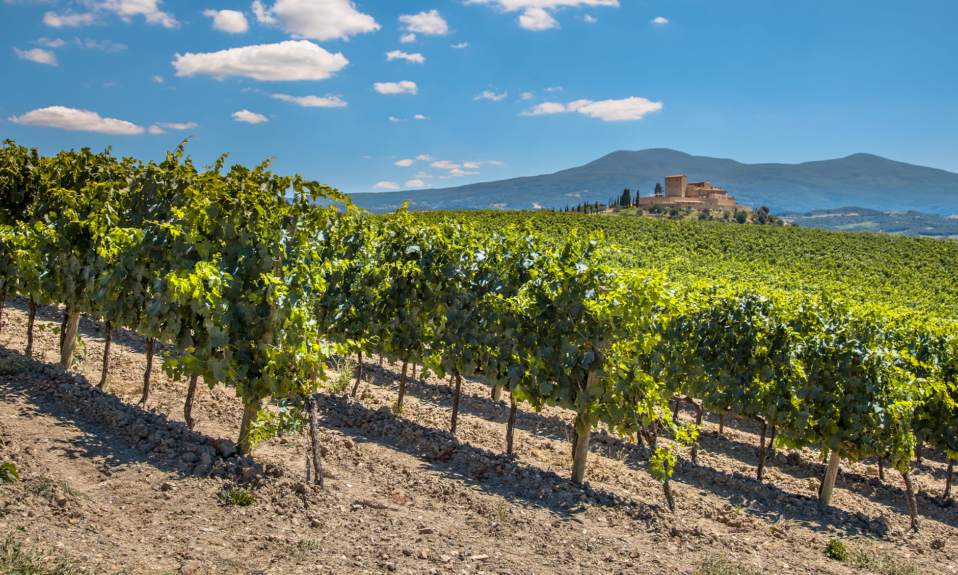 The Timeless Link Between Wine and Estates